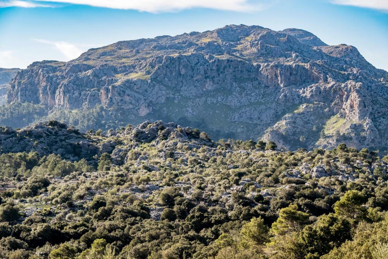 Agroturismo Son Alzines Lluc Exterior foto